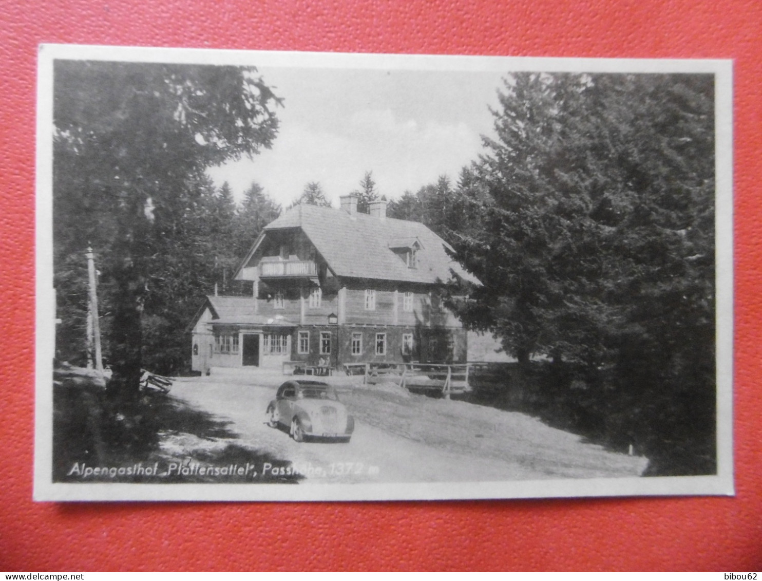 MARIAZELL  ? ( STYRIE ) Alpengasthof Pfallensallel - Passhohe - 1372 M - Mariazell