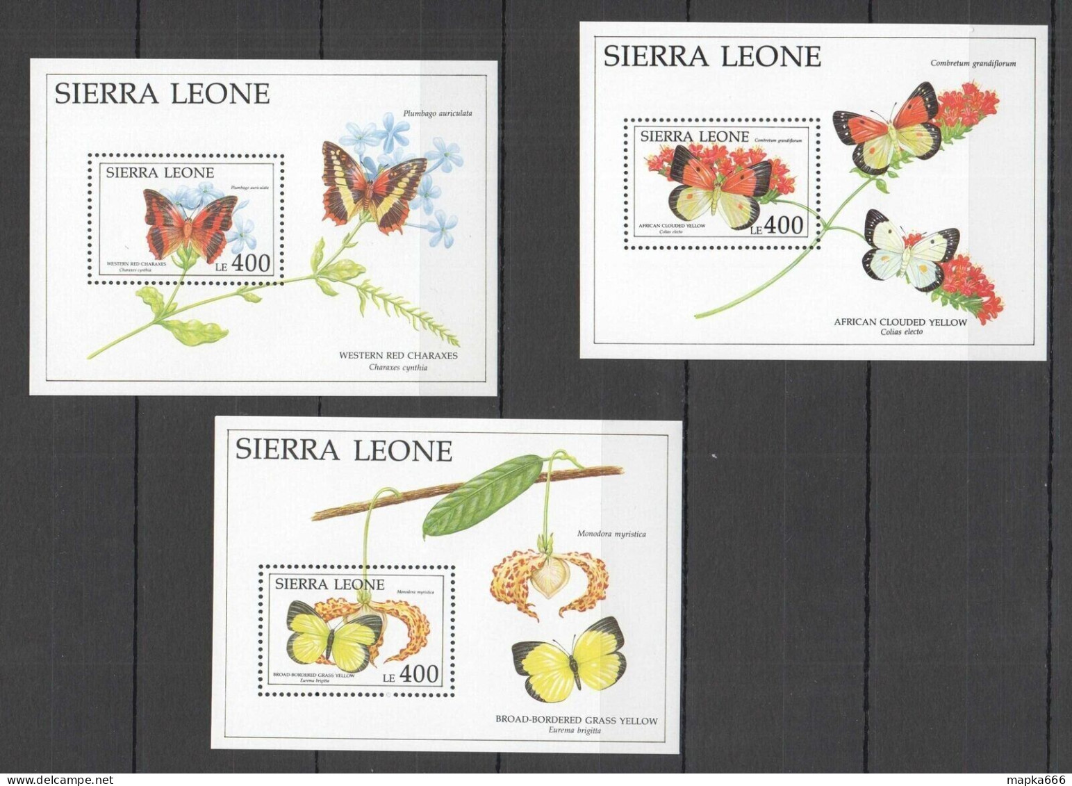 B0580 Sierra Leone Butterflies & Flowers Flora & Fauna 3Bl Mnh - Schmetterlinge