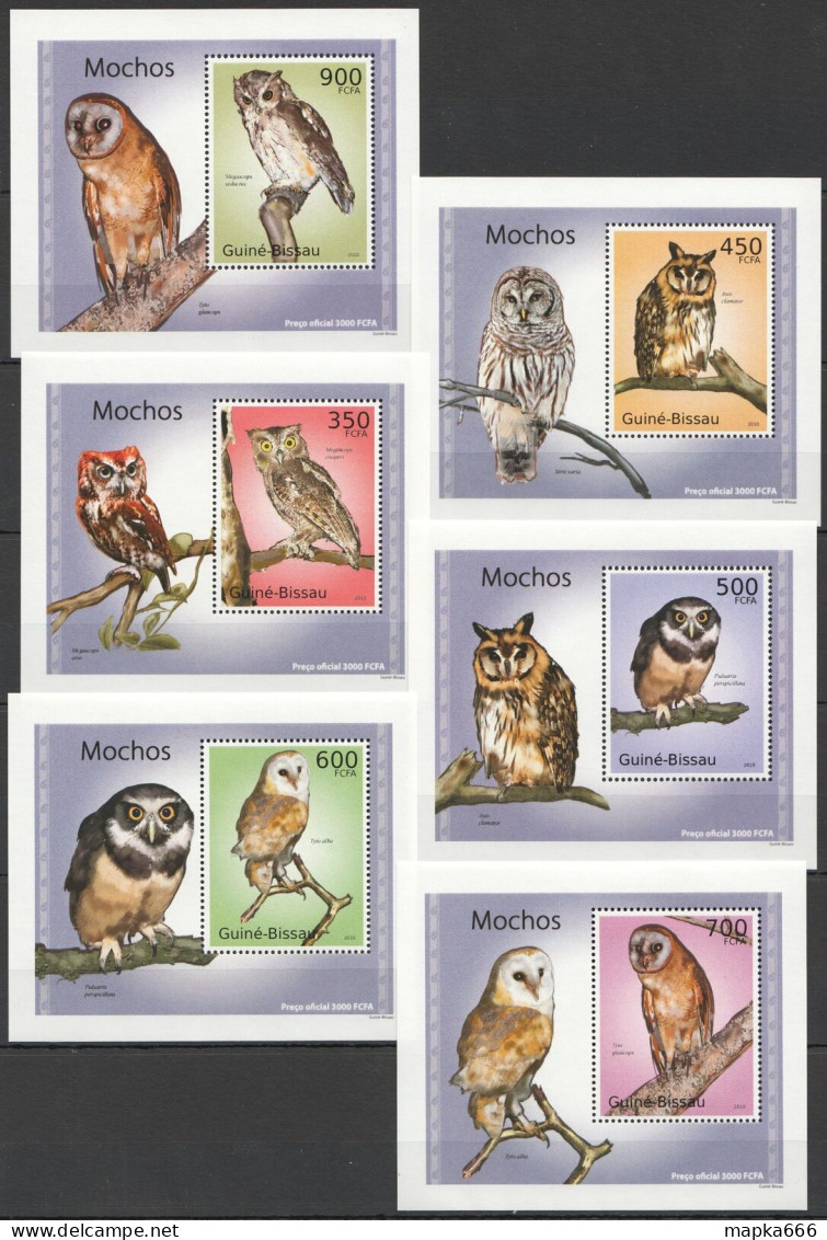 B1372 2010 Guinea-Bissau Fauna Birds Owls Mochos 6 Lux Bl Mnh - Sonstige & Ohne Zuordnung