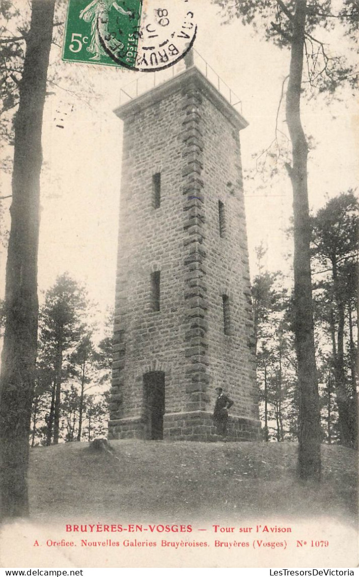 FRANCE - Bruyeres En Vosges - Tour Sur L'Avison - Vue Générale - Animé - Carte Postale Ancienne - Bruyeres