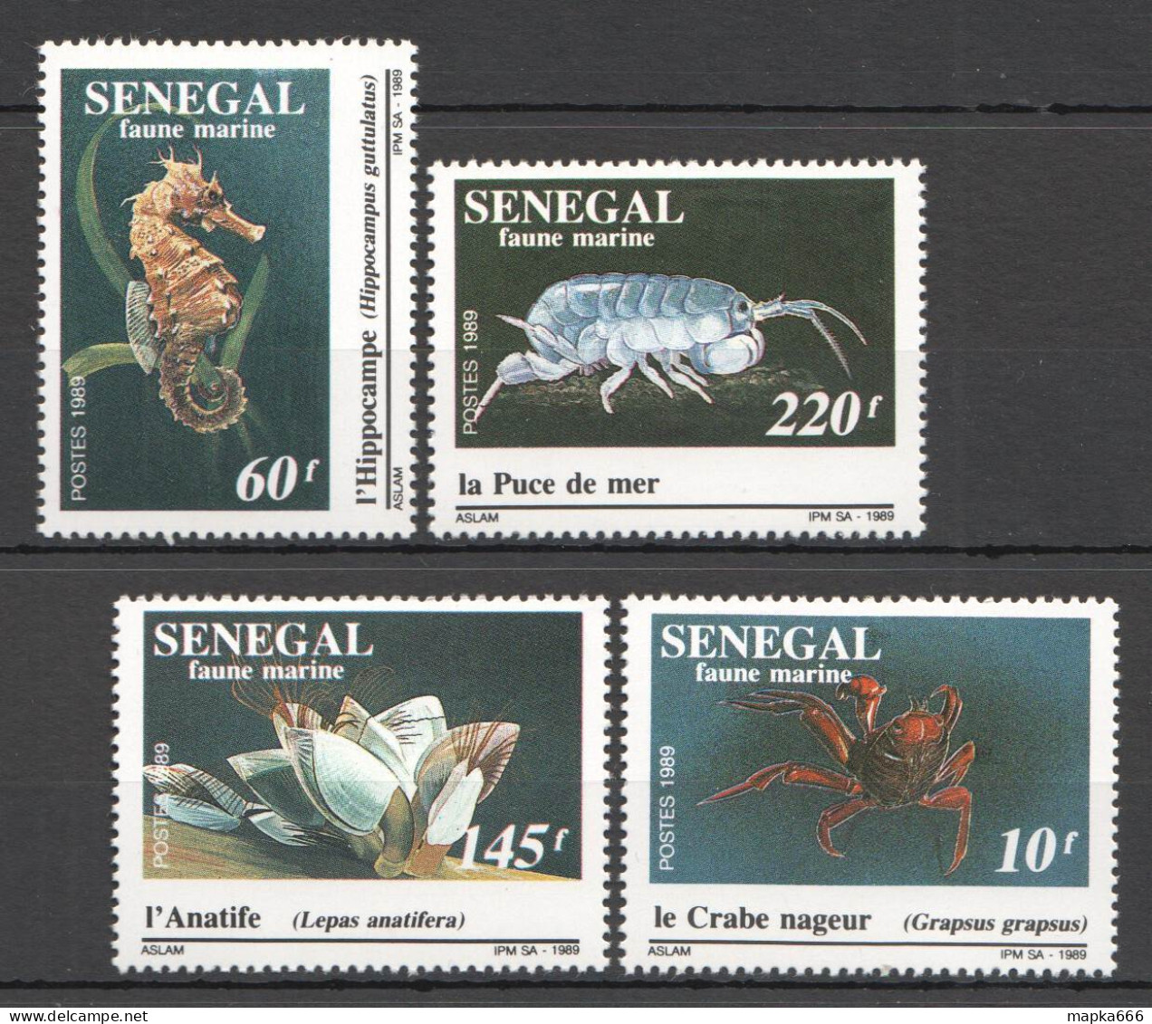 B1487 1989 Senegal Fauna Fish & Marine Life 1Set Mnh - Vie Marine