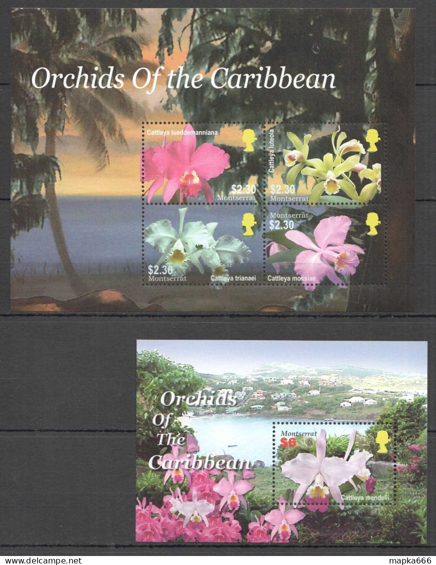 Ft070 2005 Montserrat Orchids Of The Caribbean Flowers Flora #1276-9+Bl105 Mnh - Orchids