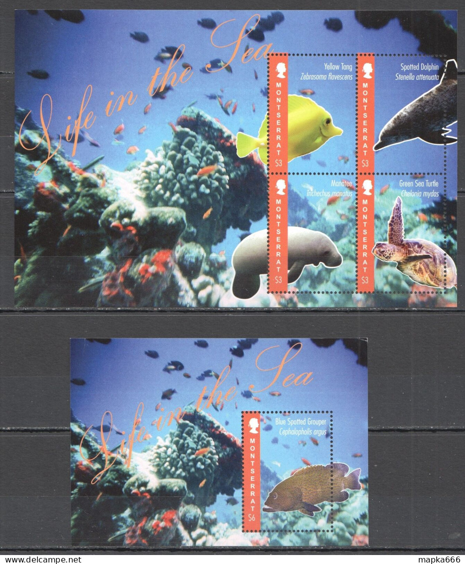 Ft091 2012 Montserrat Fishes Marine Life Life In The Sea #1613-16+Bl143 Mnh - Meereswelt