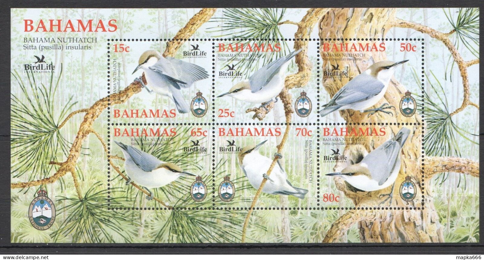 Ft093 2006 Bahamas Birds Birdlife Flora & Fauna #1239-44 Bl107 Mnh - Sonstige & Ohne Zuordnung
