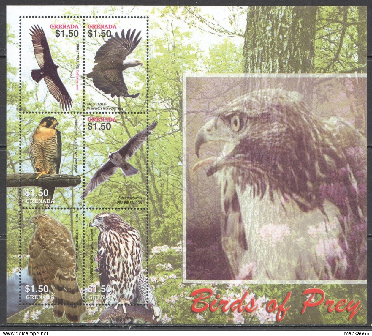 Ft099 2005 Grenada Birds Of Prey Fauna #5567-72 1Kb Mnh - Other & Unclassified