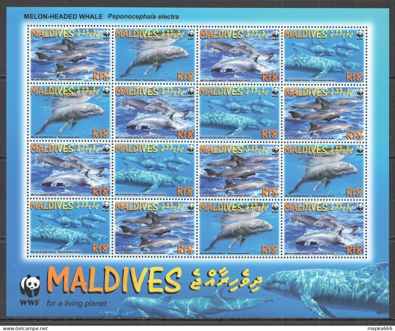 Ft109 2009 Maldives Wwf Melon-Headed Whale Marine Life #4768-71 1Sh Mnh - Marine Life