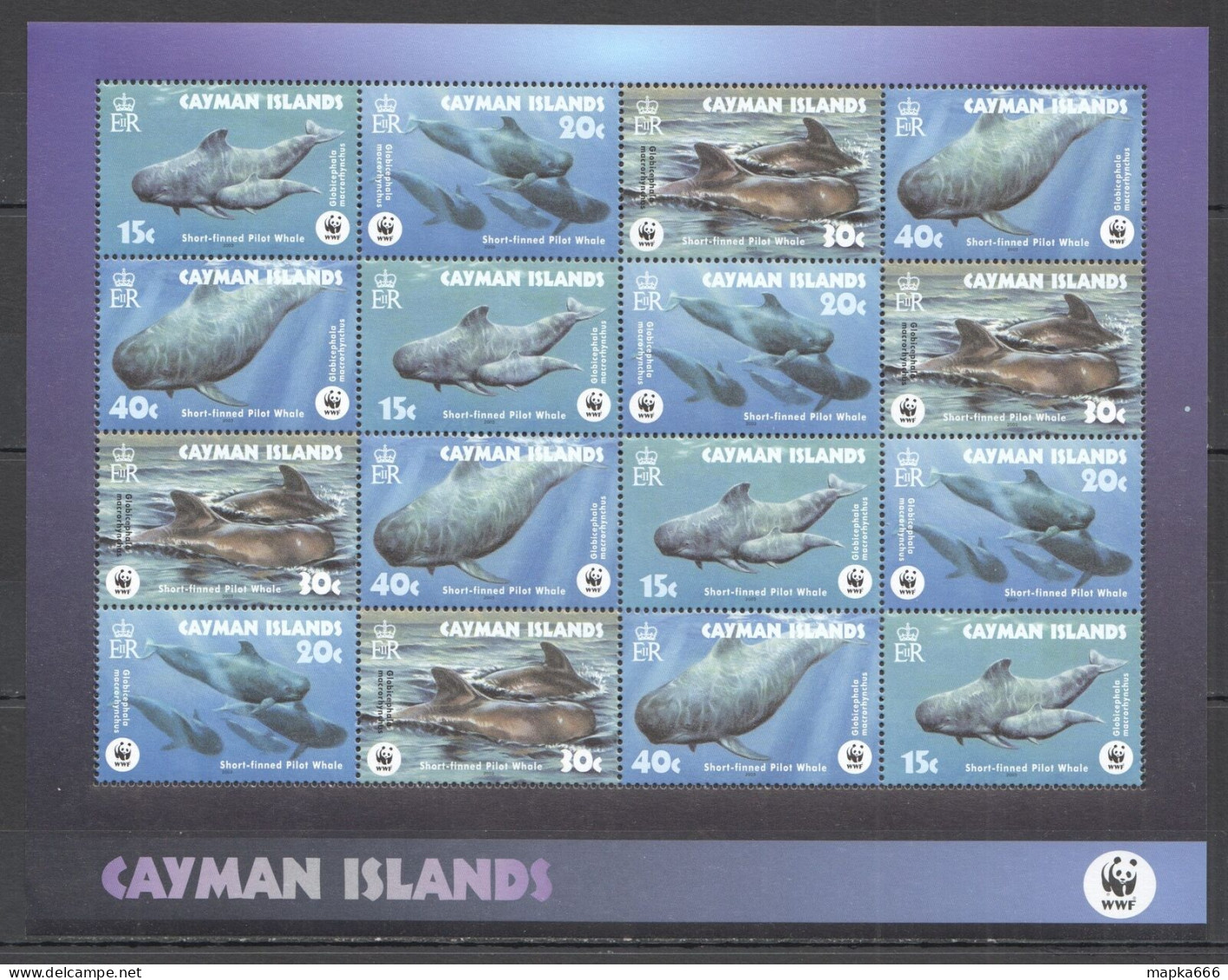 Ft115 2003 Cayman Islands Wwf Short-Finned Pilot Whale Fauna #970-73 1Sh Mnh - Vie Marine