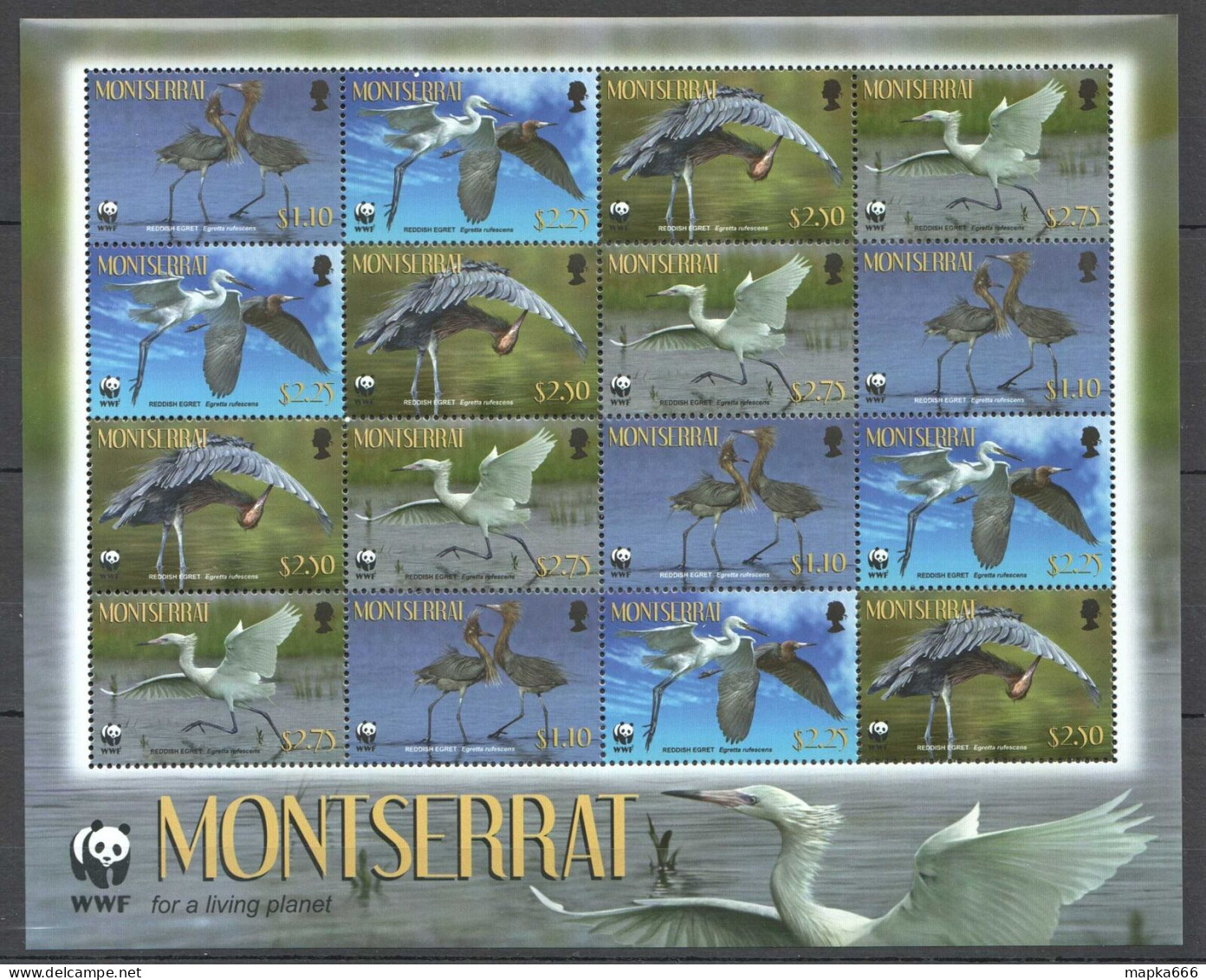 Ft116 Montserrat Wwf Fauna Birds Reddish Egret #1524-7 Michel 28 Euro 1Sh Mnh - Other & Unclassified