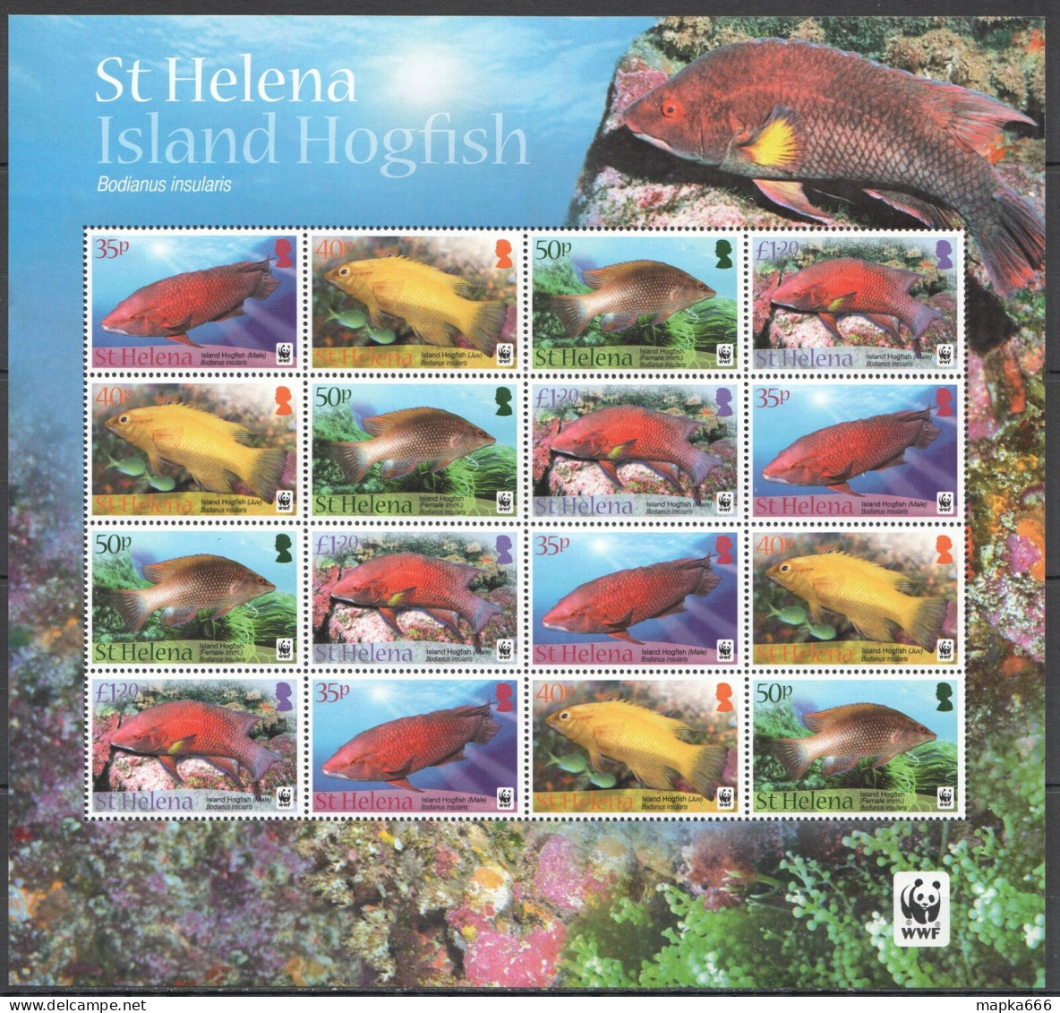 Ft120 2011 St Helena Wwf Fishes Marine Life Island Hogfish #1145-48 1Sh Mnh - Meereswelt