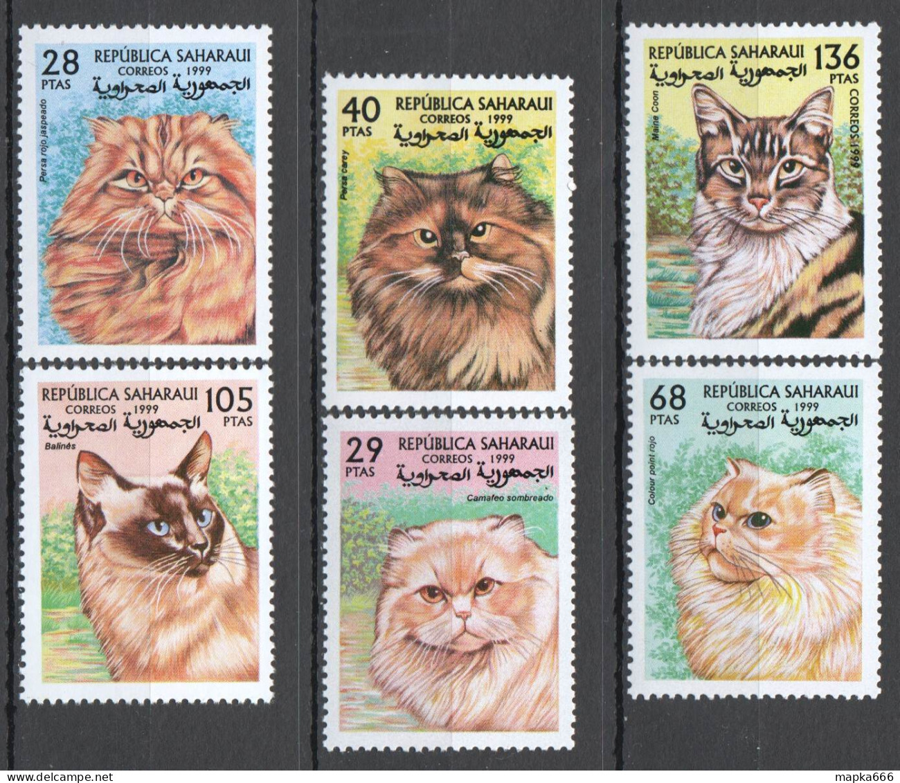 Wb321 1999 Sahara Fauna Pets Cats 1Set Mnh - Domestic Cats