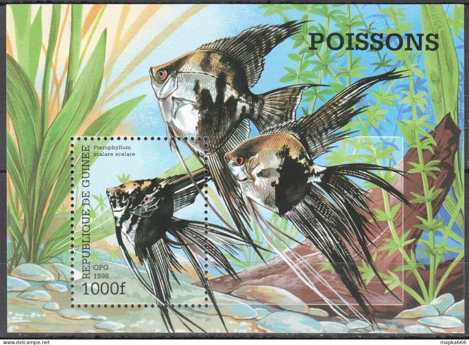 Wb347 1998 Guinea Fauna Fish & Marine Life 1Bl Mnh - Marine Life