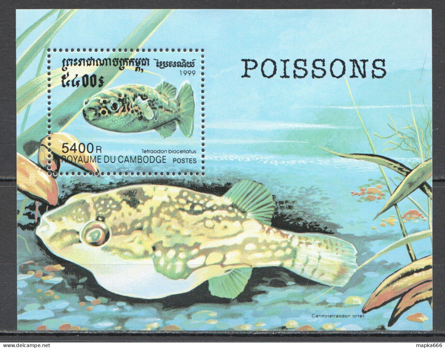 Wb348 1999 Cambodia Fauna Fish & Marine Life Fishes 1Bl Mnh - Meereswelt