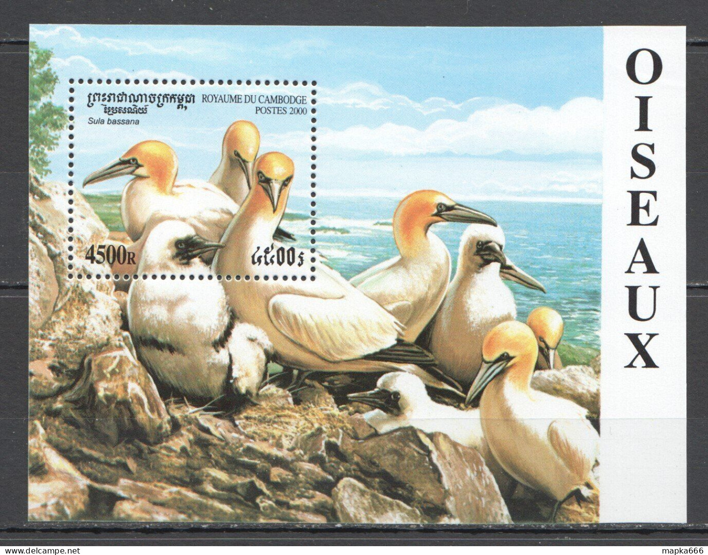 Wb356 2000 Cambodia Fauna Water Sea Birds Bl Mnh - Sonstige & Ohne Zuordnung