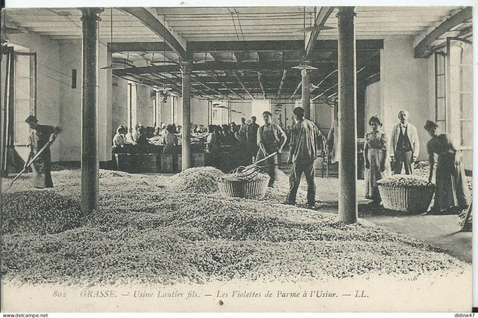 GRASSE - Usine Lautier, Fils - Les Violettes De Parme - Grasse