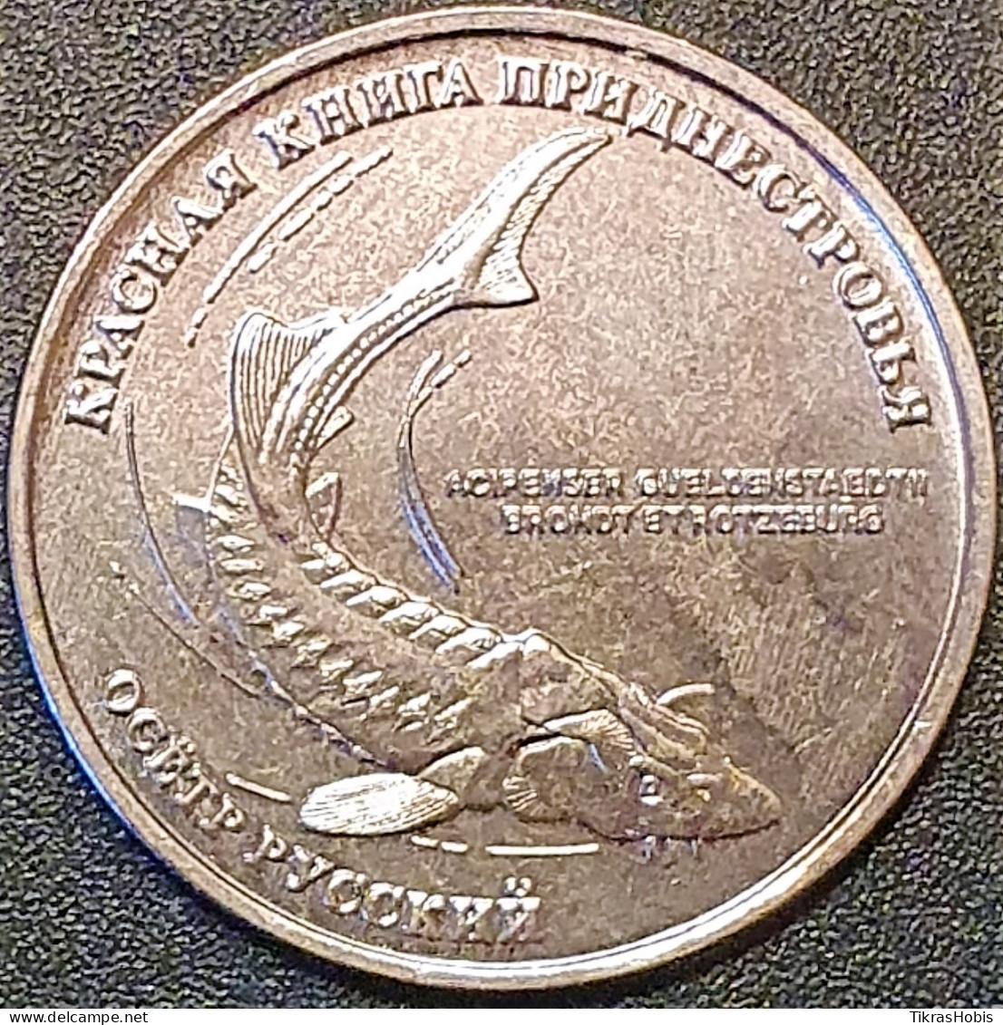 Moldova, Transnistria 1 Ruble, 2018 Russian Sturgeon UC168 - Moldavië