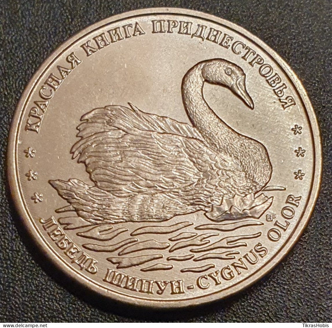 Moldova, Transnistria 1 Ruble, 2018 Swan Did Not Mumbled UC166 - Moldavie