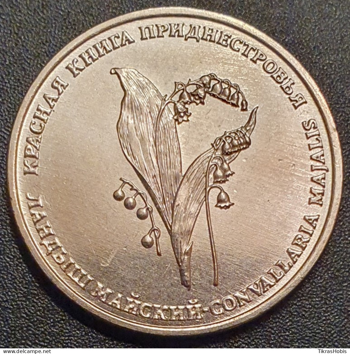 Moldova, Transnistria 1 Ruble, 2019 Simple Lily Of UC182 - Moldawien (Moldau)