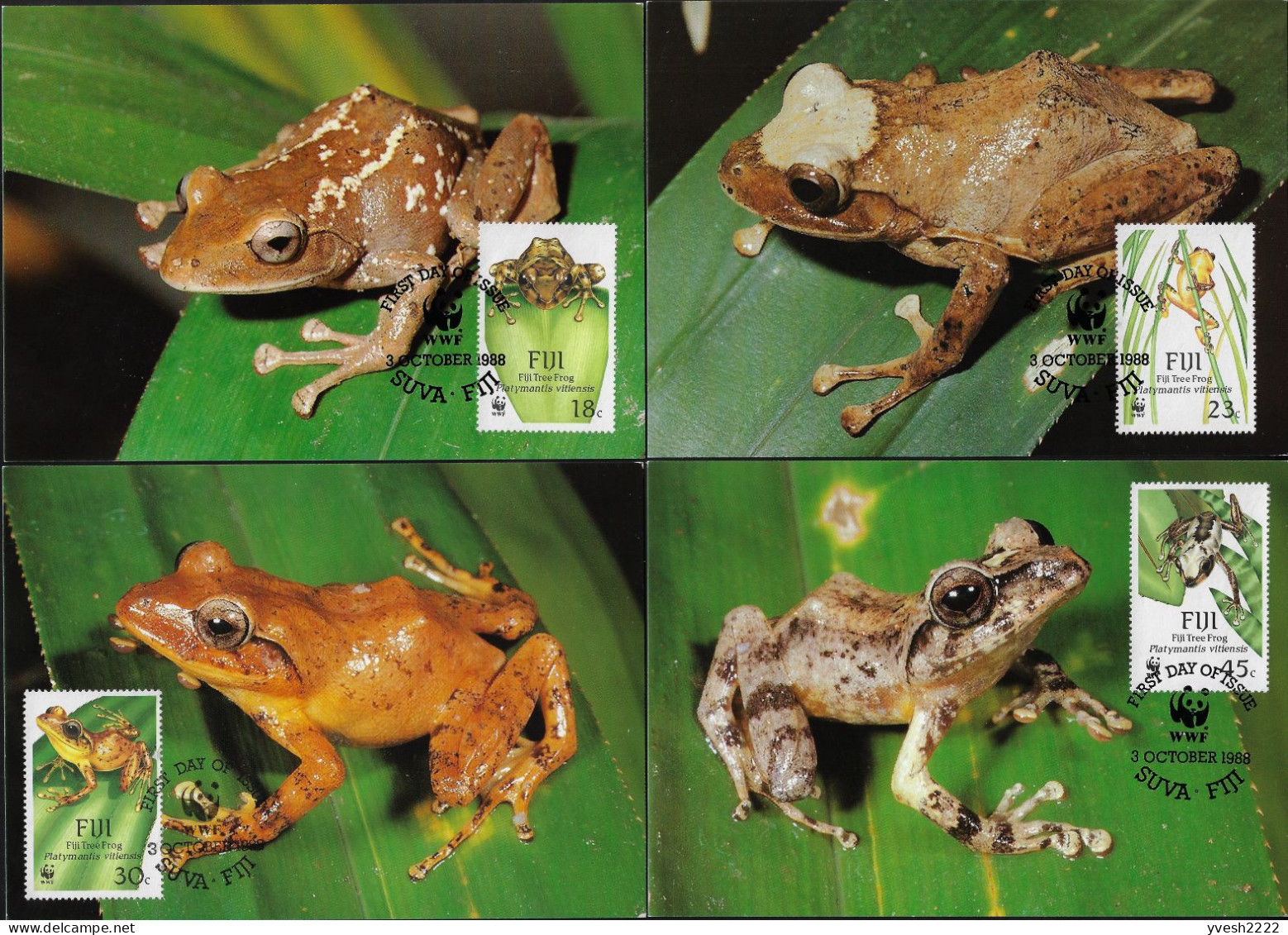 Fidji 1988 Y&T 587 à 590 Sur Cartes Maxima. WWF, La Grenouille Arboricole De Fiji - Grenouilles