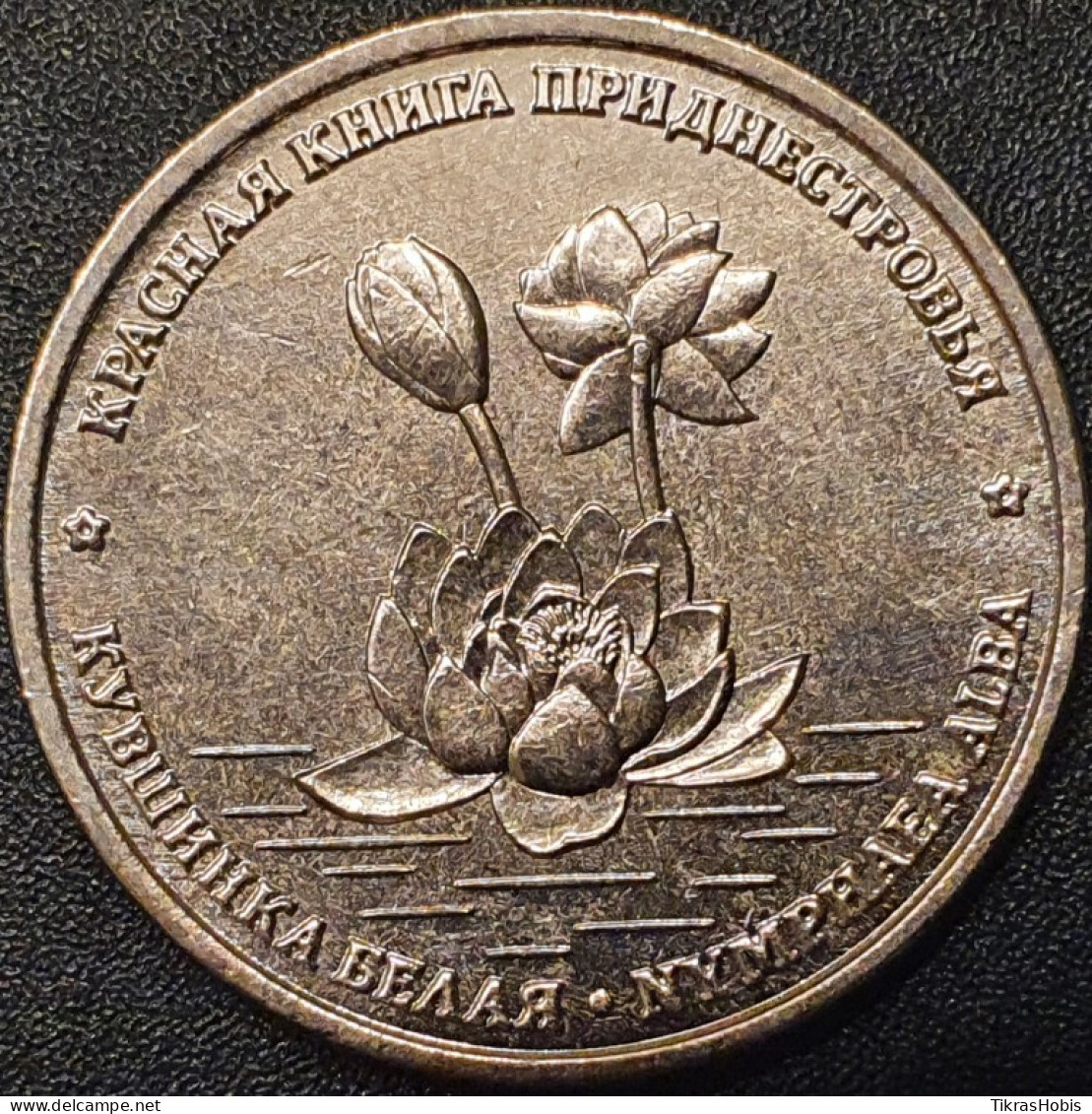 Moldova, Transnistria 1 Ruble, 2021 Common Lily UC304 - Moldavia
