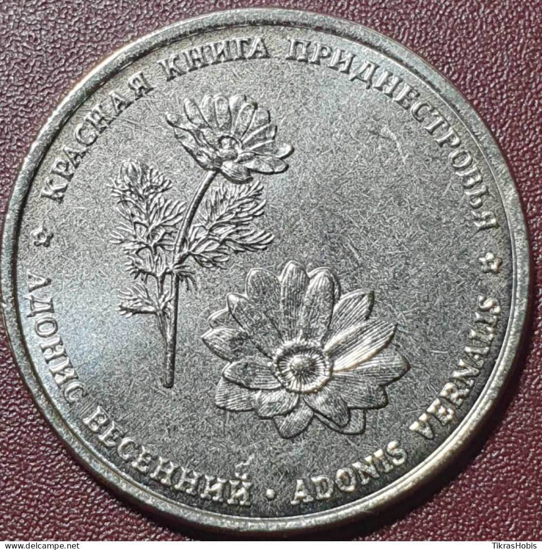 Moldova, Transnistria 1 Ruble, 2021 Spring Adonis UC333 - Moldavia