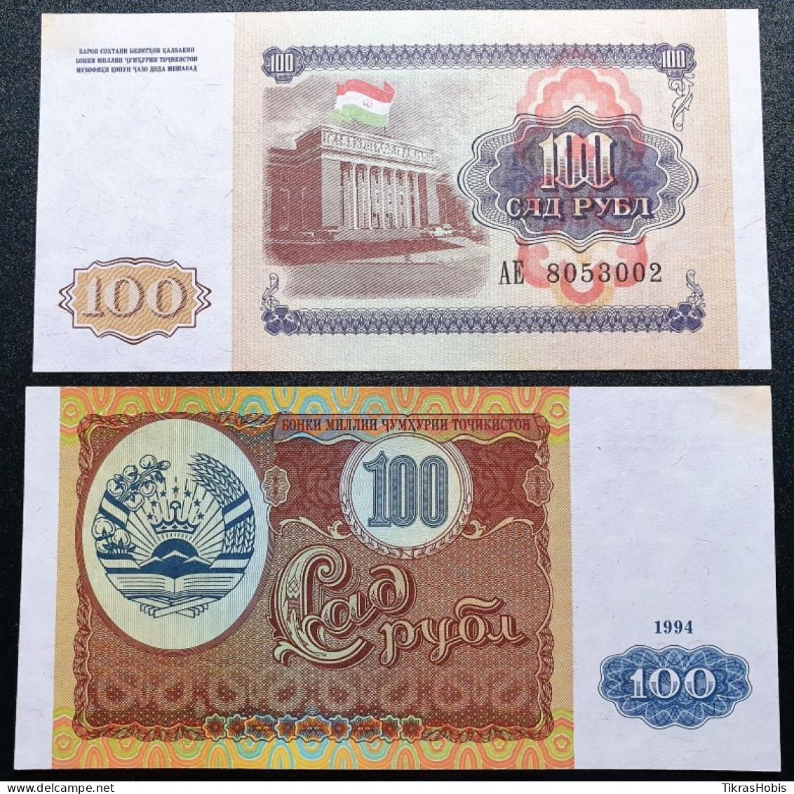 Tajikistan 100 Rubles, 1994 P-6A - Tadzjikistan