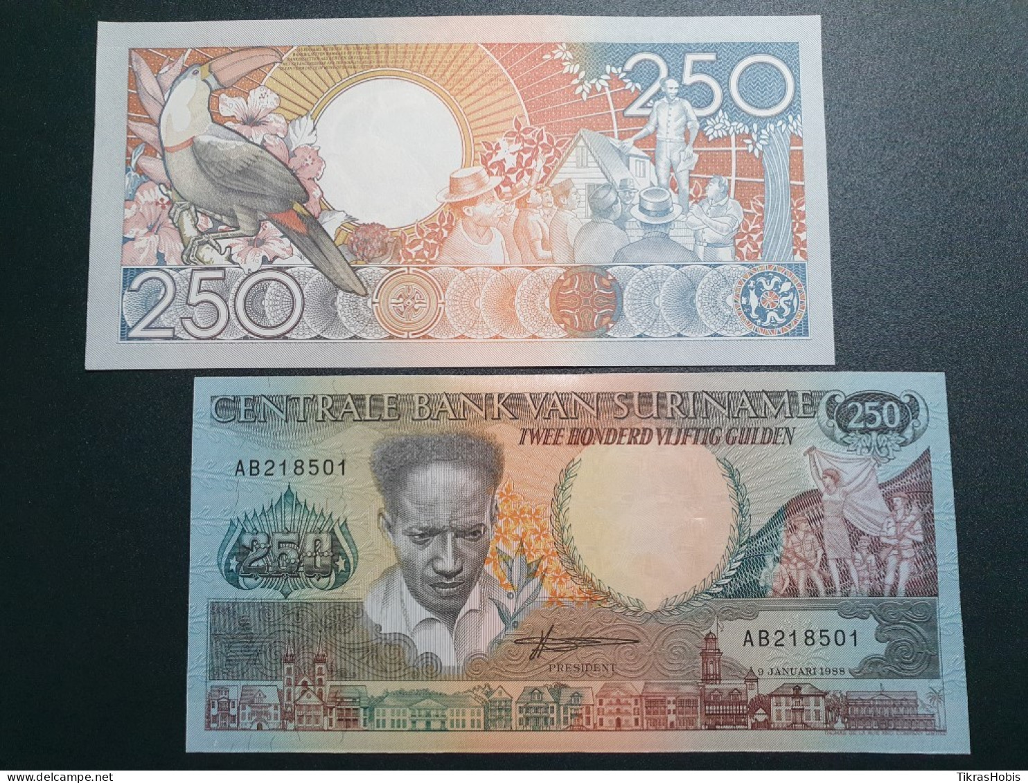 Surinam 250 Gulden, 1988 P-134 - Surinam