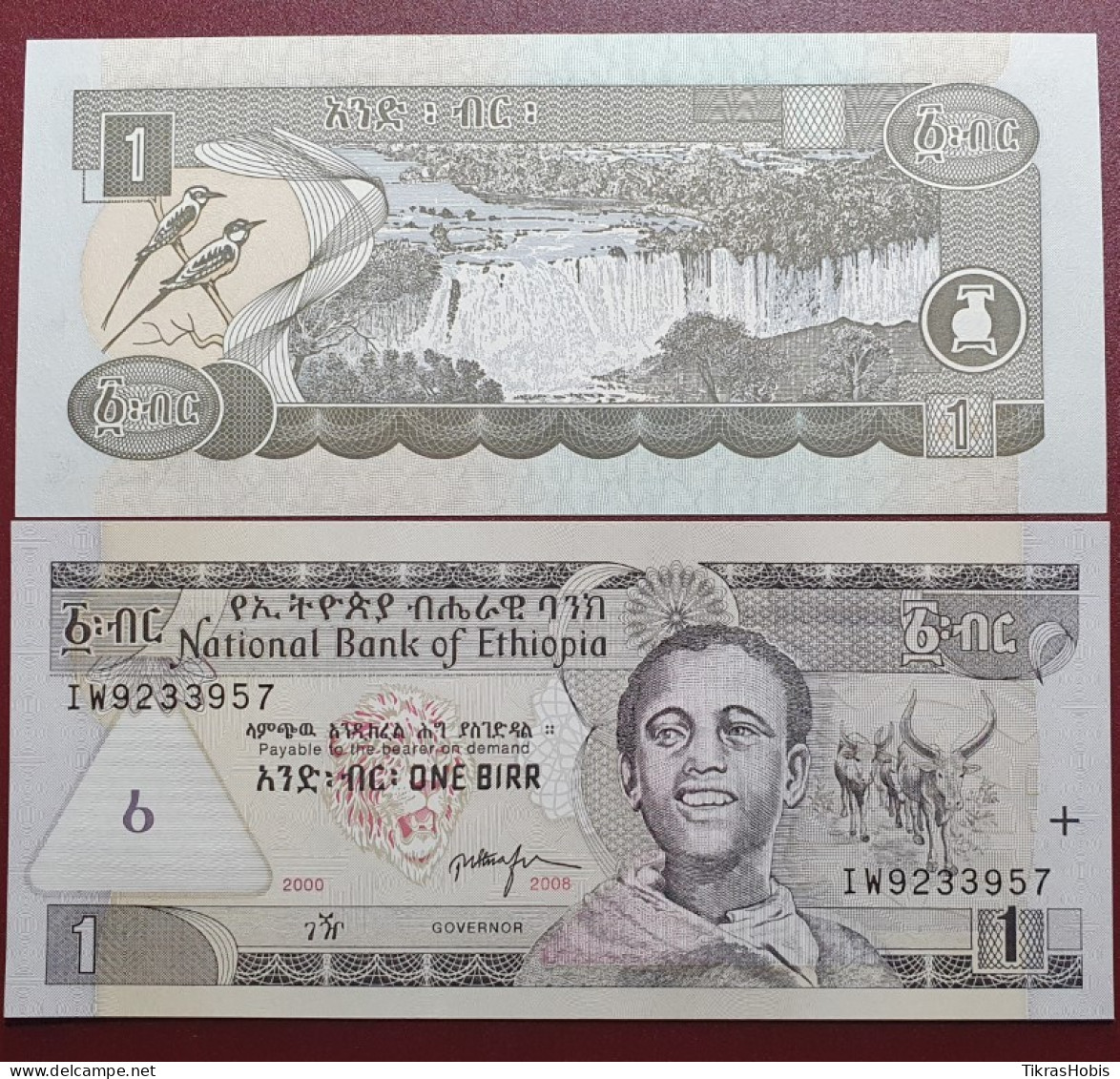 Ethiopia 1 Birr, 2008 P-46e - Etiopía