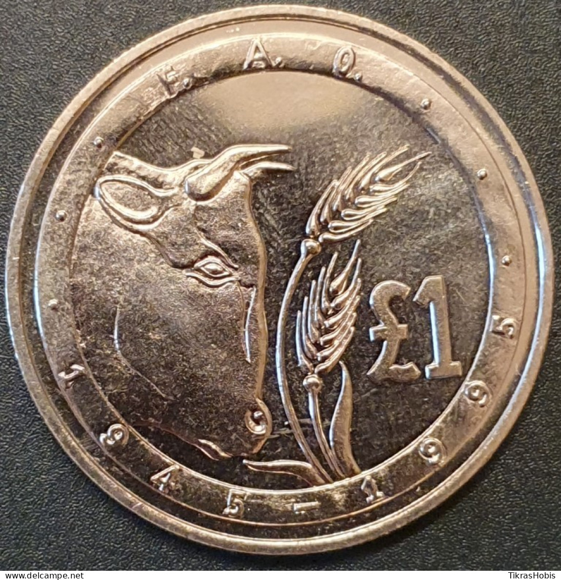 Cyprus 1 Pound, 1995 50th F.A.O. Anniversary KM70 - Chypre