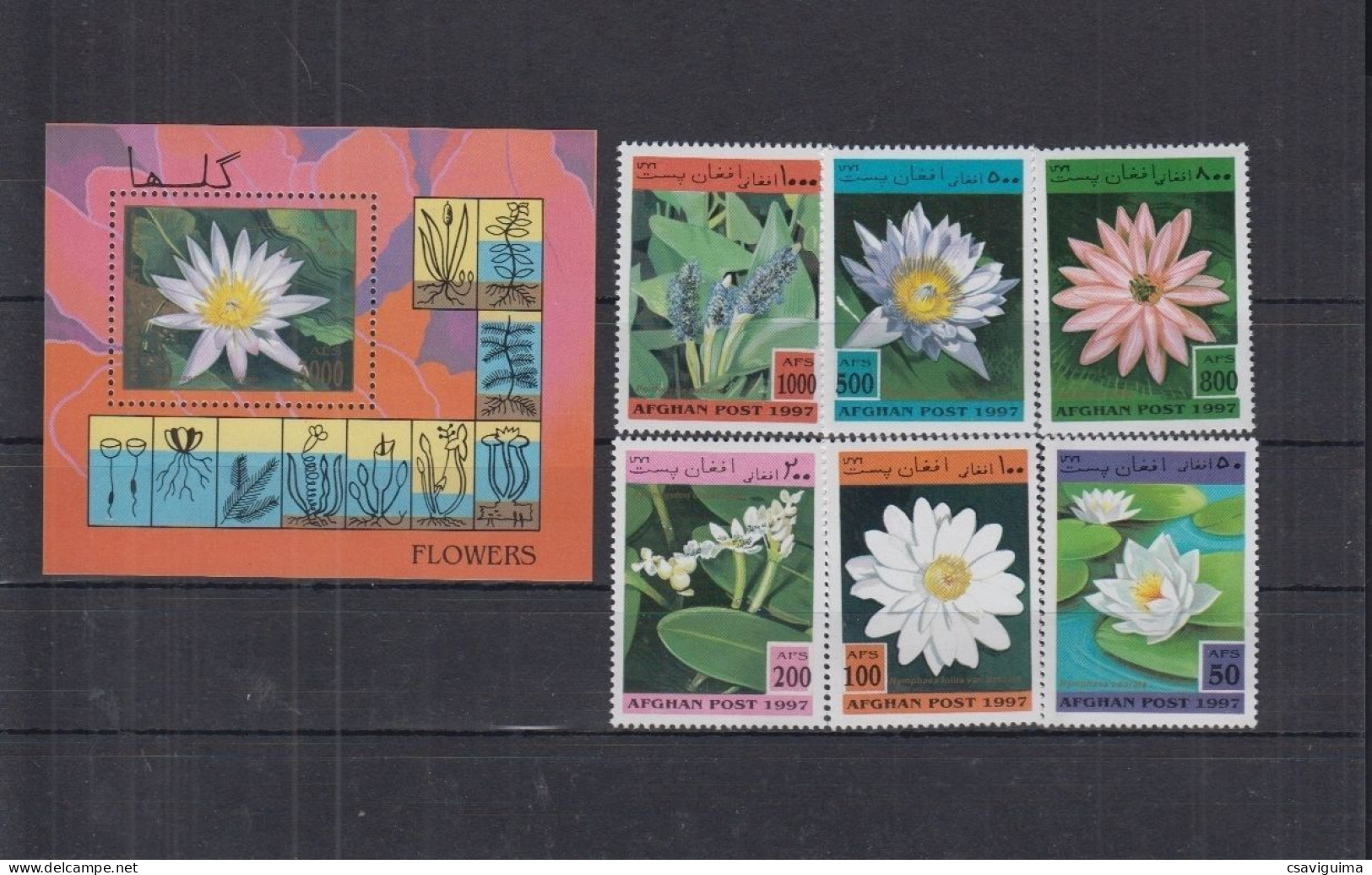 Afghanistan - 1997 - Flowers - Yv 1537/42 + Bf 80 - Other & Unclassified