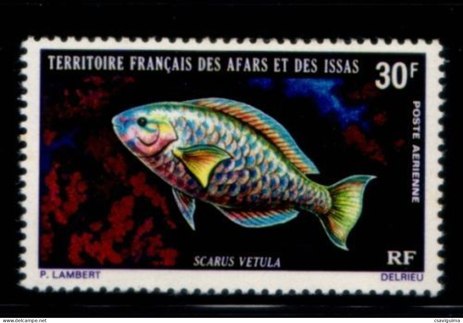 Afars & Issas  - 1971 - Fish  - Yv A66 - Fische