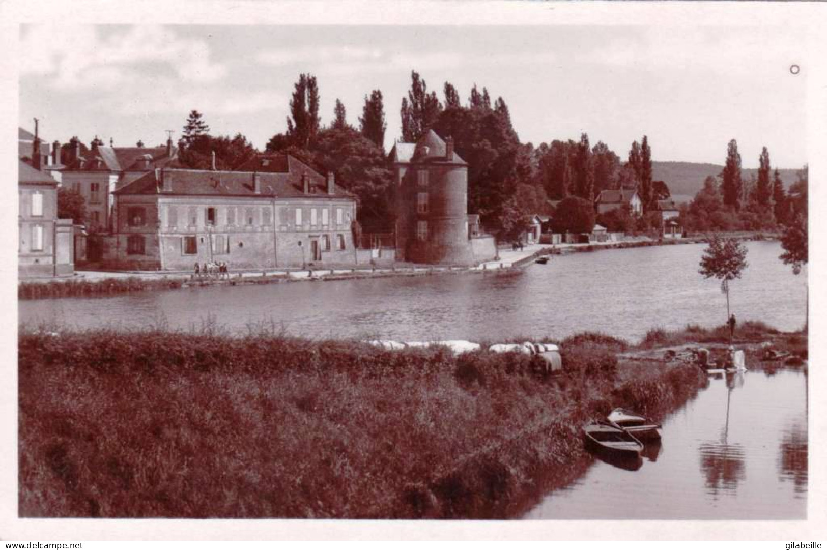 89 - Yonne - VILLENEUVE  Sur YONNE -   L'Yonne - L'ile Et La Tour Bonneville - Villeneuve-sur-Yonne