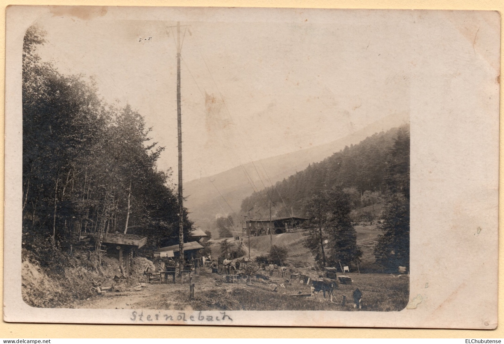 Cpa Photo Soldats Allemands Soultzbach Steinlebach Station Train Aérien? - Alsace Guerre 14-18 WW1 - Altri & Non Classificati