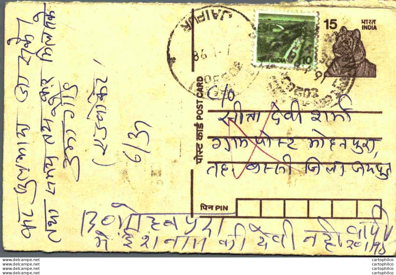 India Postal Stationery Tiger 15 Jaipur Cds - Ansichtskarten