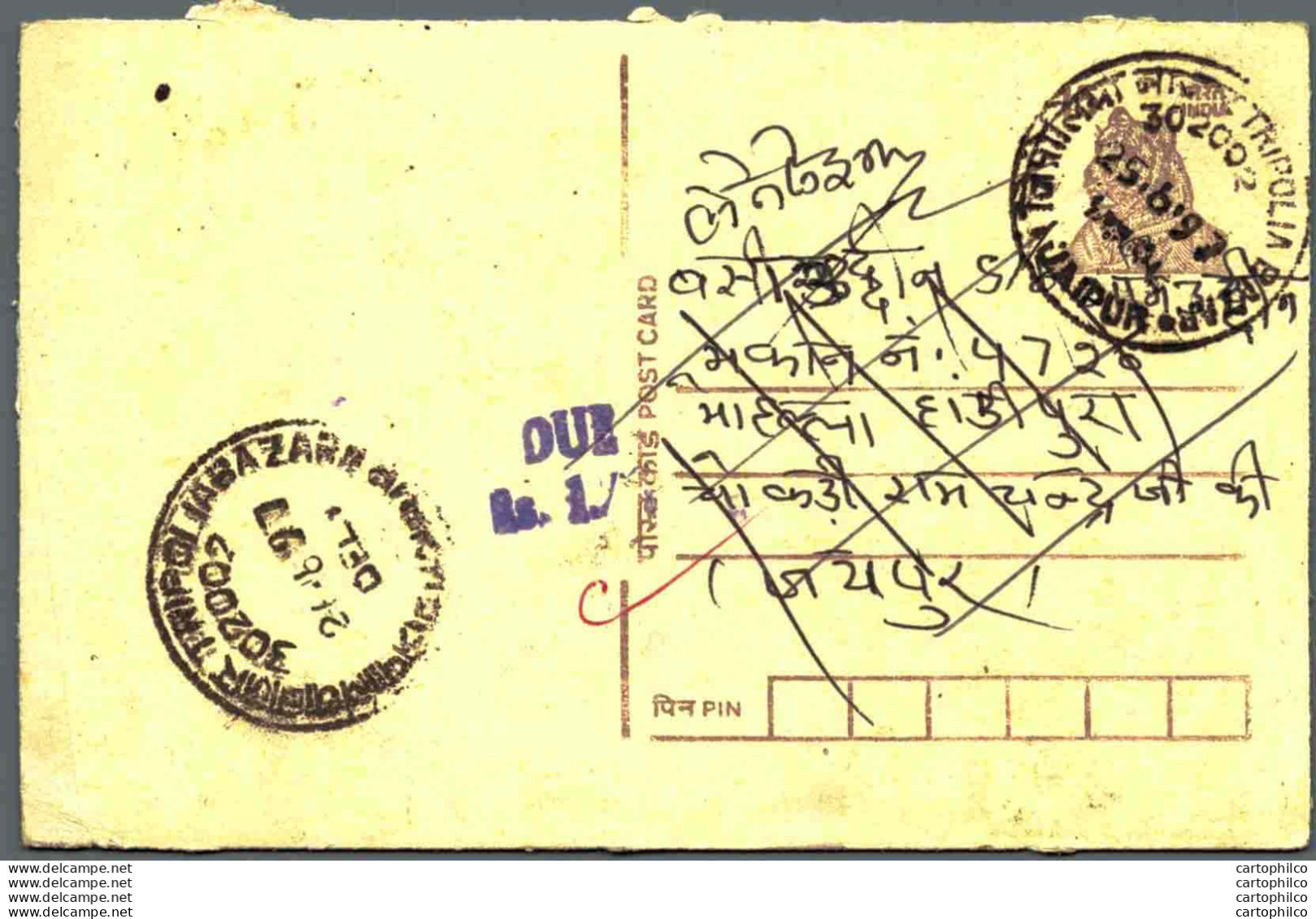 India Postal Stationery Tiger 15 Jaipur Cds - Ansichtskarten