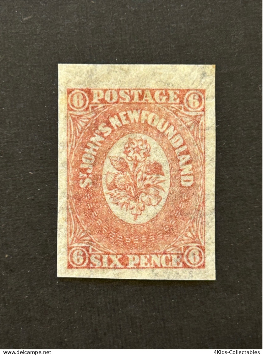 NEWFOUNDLAND Scott #20 VF (no Gum) - 1857-1861