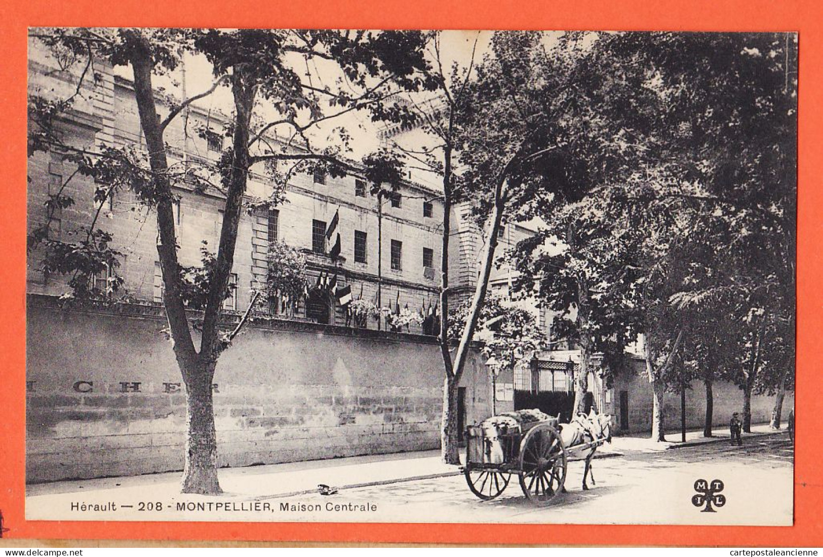10084 ● ● MONTPELLIER 34-Herault Attelage Cheval Devant Maison Centrale 1910s MTIL N° 208 - Montpellier
