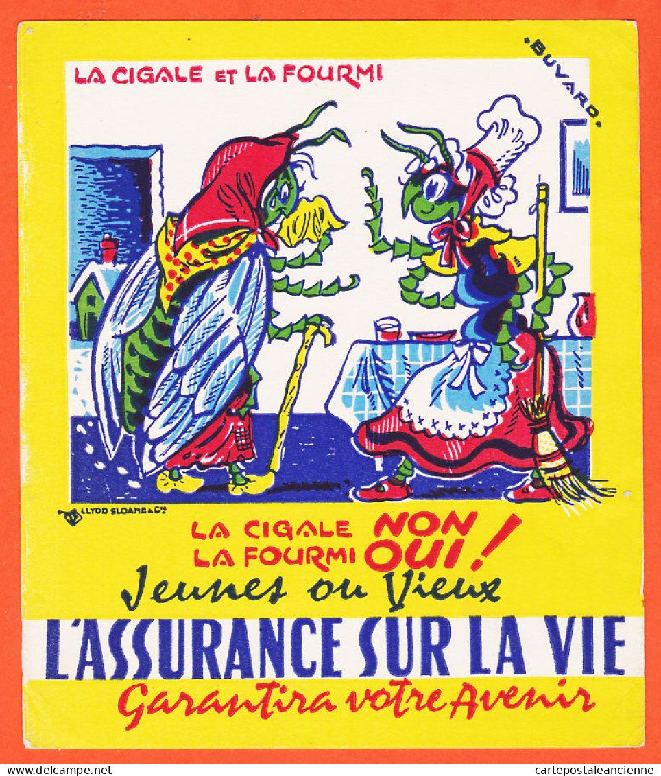 10141 ● CIGALE NON ! FOURMI OUI ! Asssurance Sur La Vie Garantira Votre Avenir Buvard-Blotter LLYOD SLOAME  & Cie  - Banca & Assicurazione