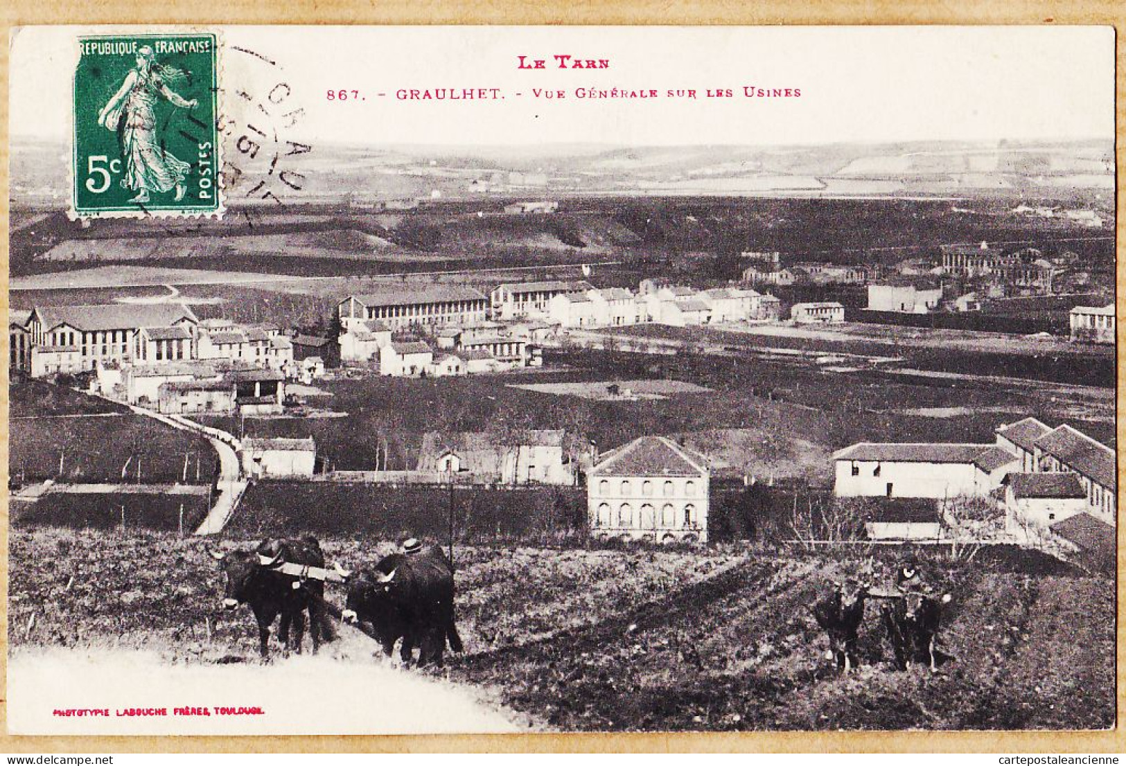 10202 ● GRAULHET Vue Labour Attelage Boeufs Générale Sur Usines 1911 à PUECH Du VERDIER Rue Ste Rose Clermont-Ferrand - Graulhet