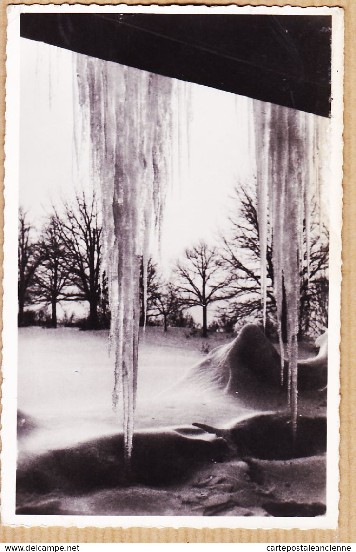 10015 ● HAUTEVILLE 01-Ain Parc Du Sanatorium MANGINI En Hiver Stalactites De Glace 1960s Photo-Véritable MIGUET 113 - Hauteville-Lompnes