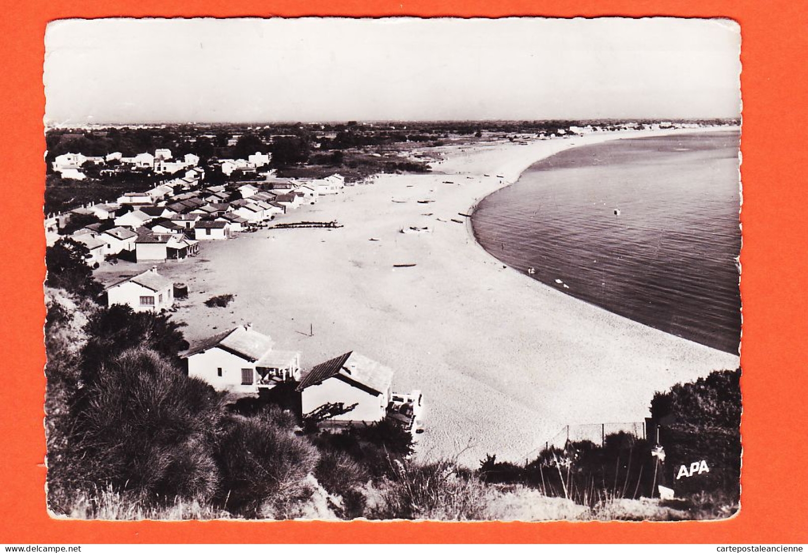 10294 ● ARGELES-SUR-MER (66) La Plage Vue Des Hauteurs Du RACOU 1960s à Alice DUMONT Rue Bouffard Castres - Argeles Sur Mer