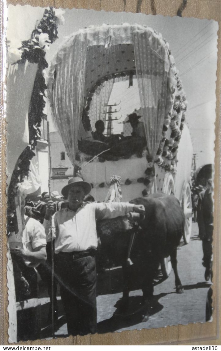 Photo (pas Cpa) SEVILLA, Raphael Cubiles Fotografo  ................18718 - Sevilla (Siviglia)