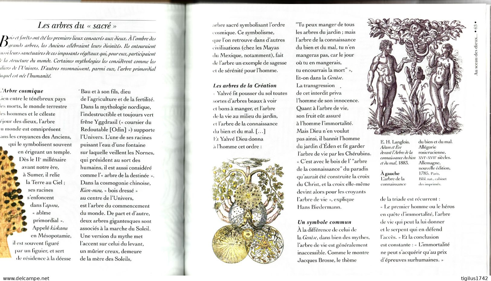 Anne Dumas. Les Plantes Et Leurs Symboles, Editions Du Chêne, 2000, Ex. Septembre 2002 - Wetenschap