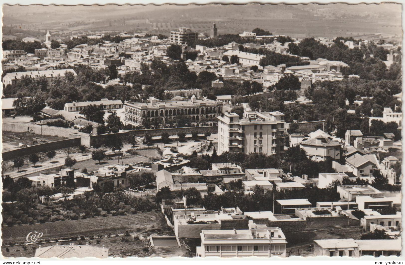 Algérie   :  TLEMCEN : Vue - Tlemcen