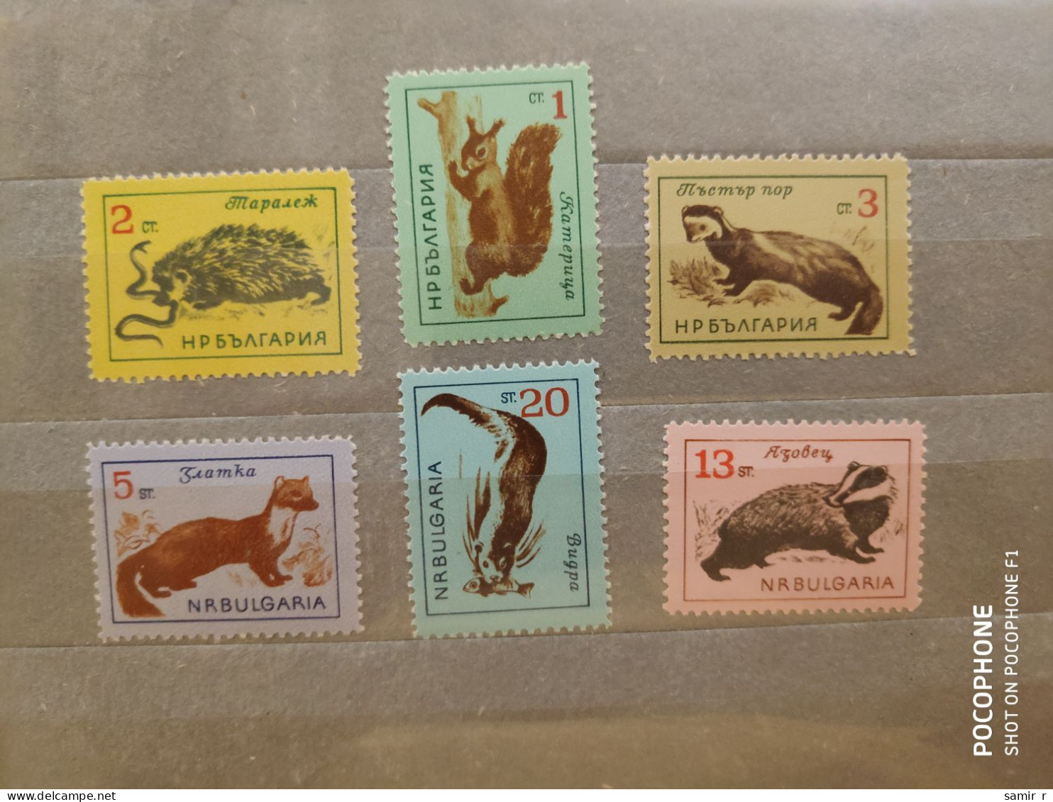 1963	Bulgaria	Animals  (F91) - Unused Stamps