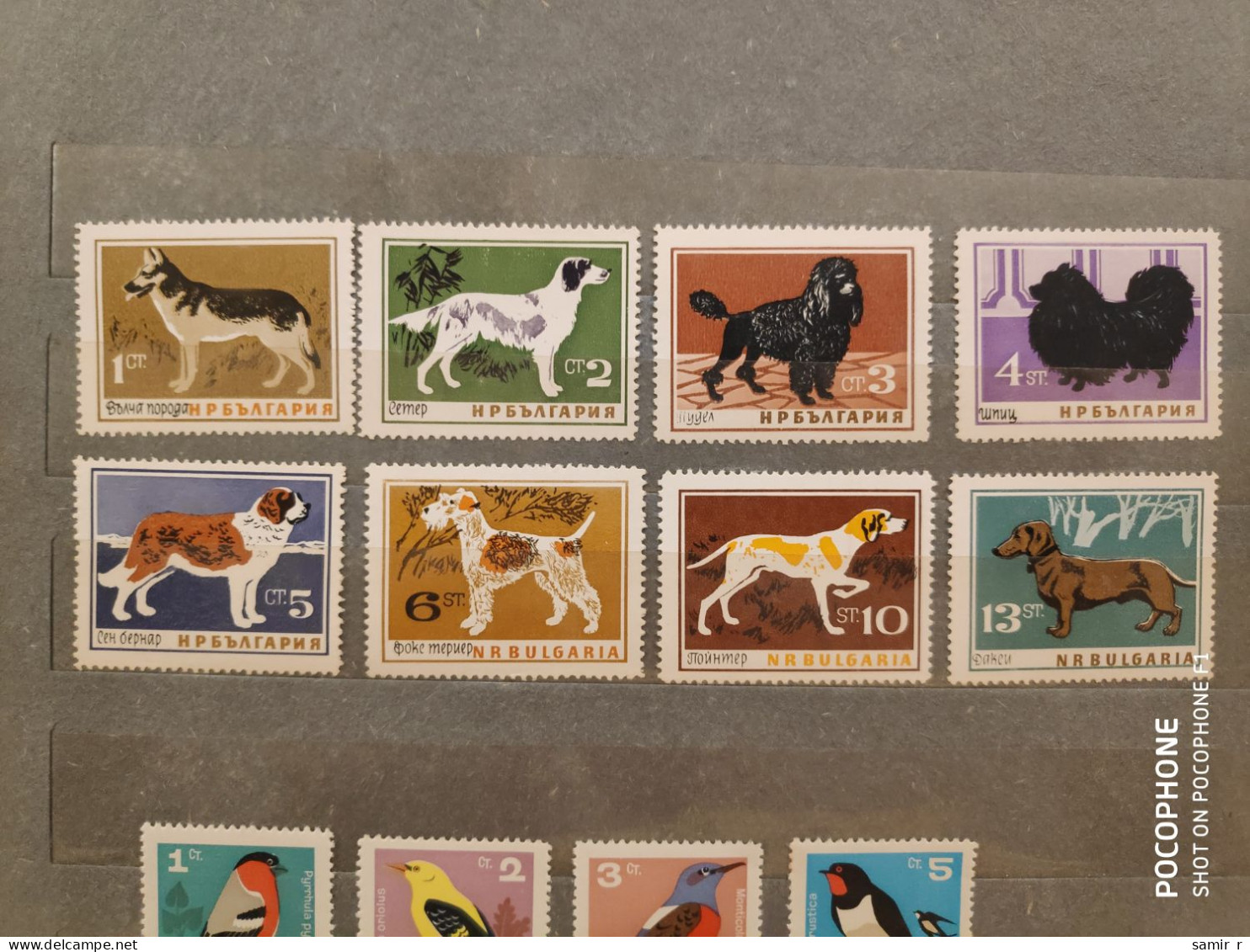 1964	Bulgaria	Dogs  (F91) - Ungebraucht