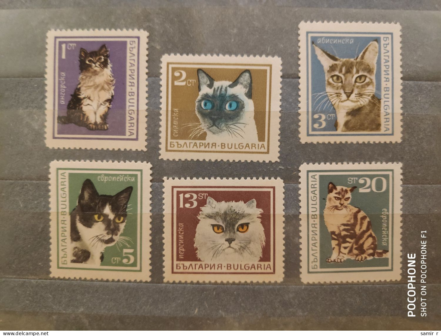 1967	Bulgaria	Cats  (F91) - Neufs