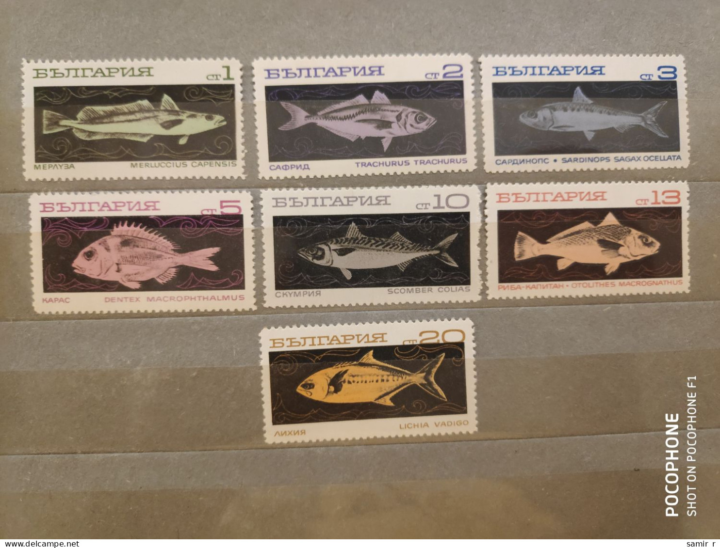 1969	Bulgaria	Fishes  (F91) - Neufs