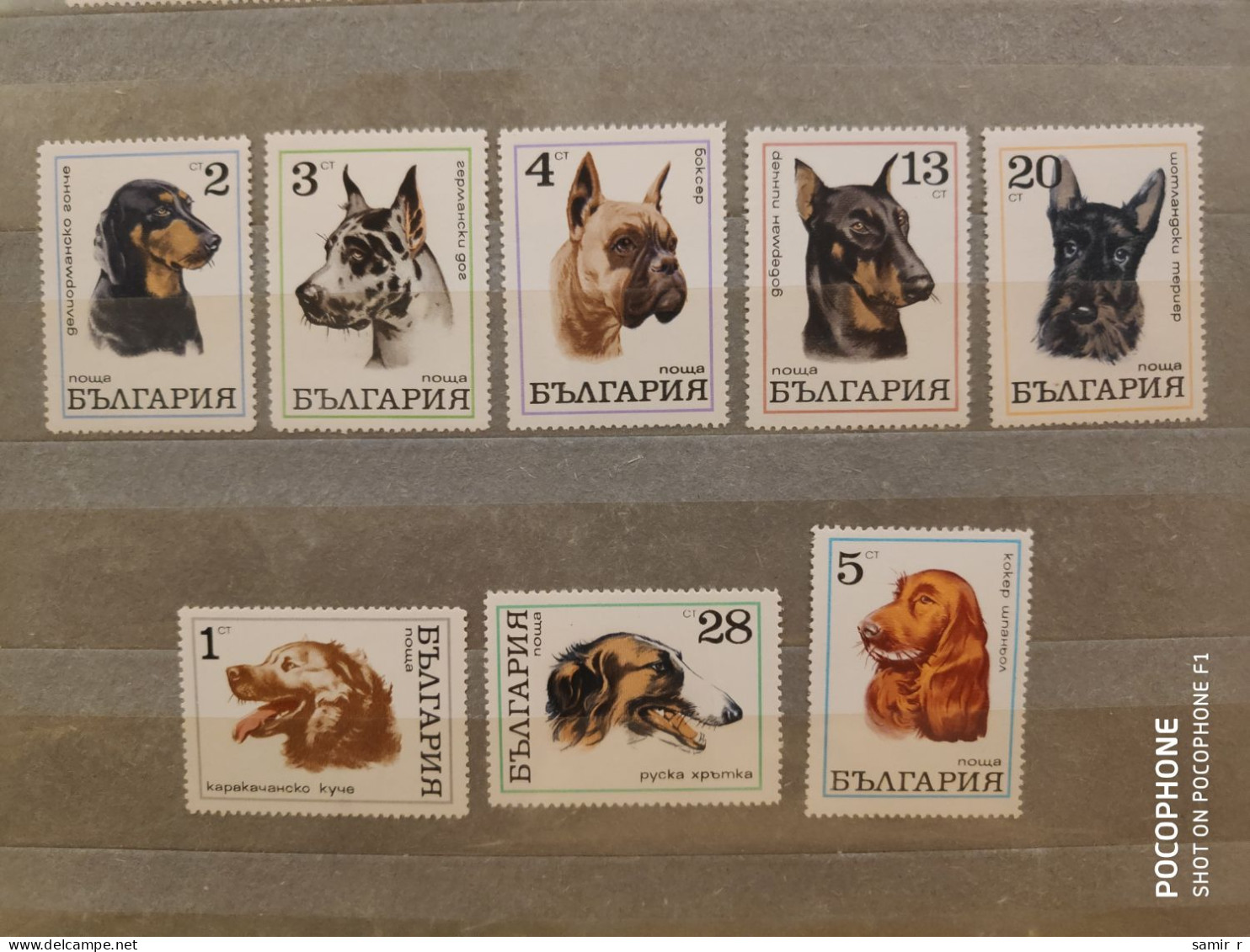 1970	Bulgaria	Dogs   (F91) - Ongebruikt