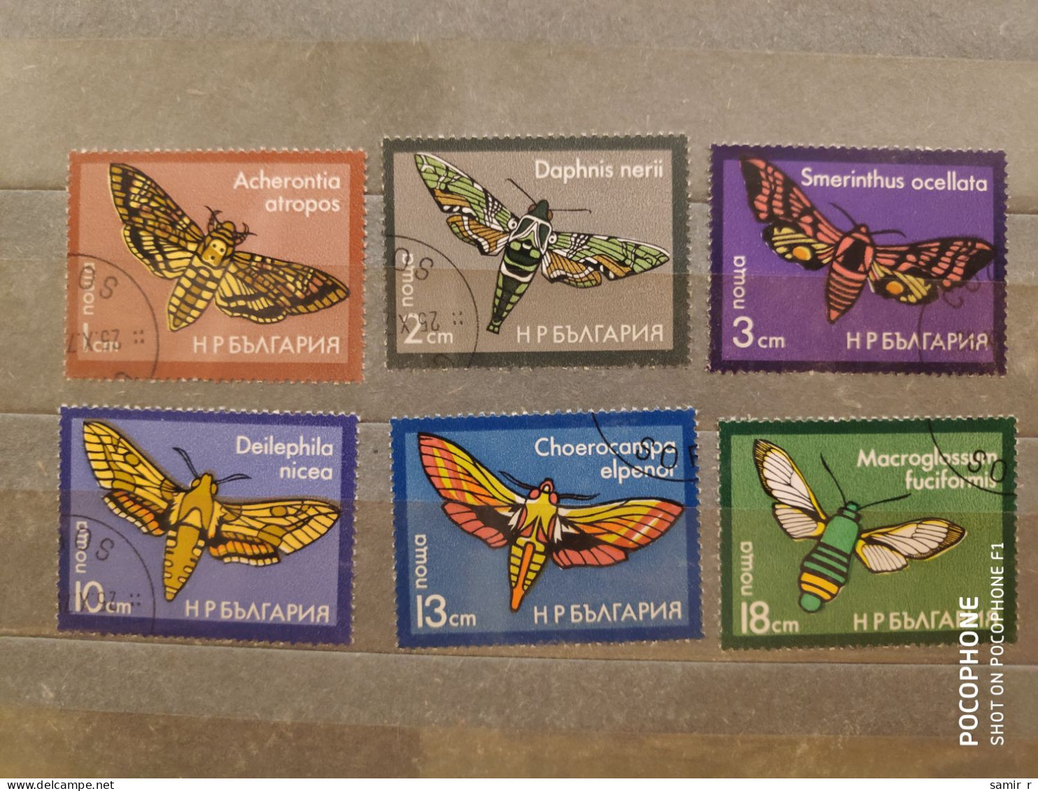 1975	Bulgaria	Butterflies   (F91) - Ongebruikt