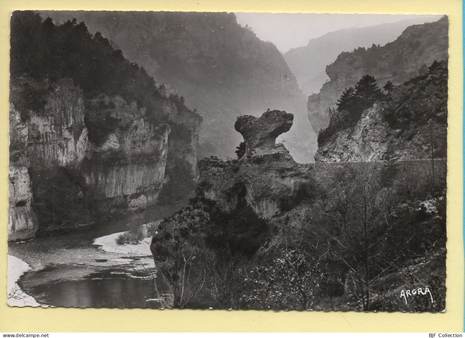 48. GORGES DU TARN – Le Champignon / CPSM (voir Scan Recto/verso) - Gorges Du Tarn